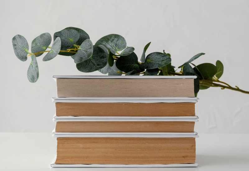 #1/2025 Поміж вогнів і вечірніх мороків