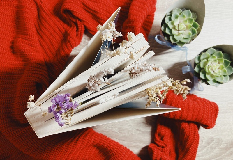 #26 Вечірні довшають розмови