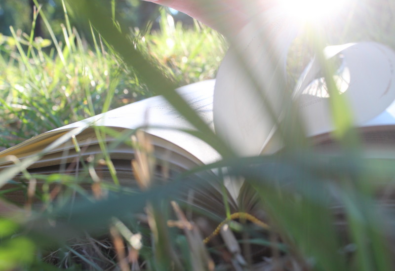 #4 Нестерпна легкість літа