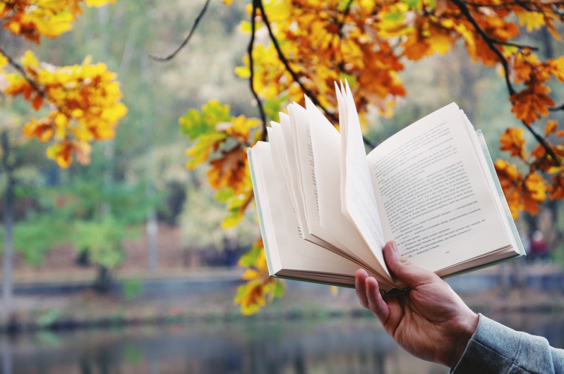 #9 Осіння меланхолія