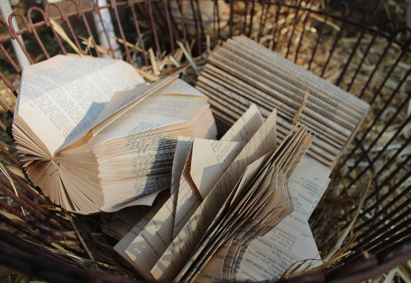 #7 Серед будинків і книг