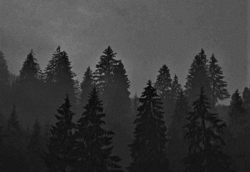 Пагутяк книги про містику